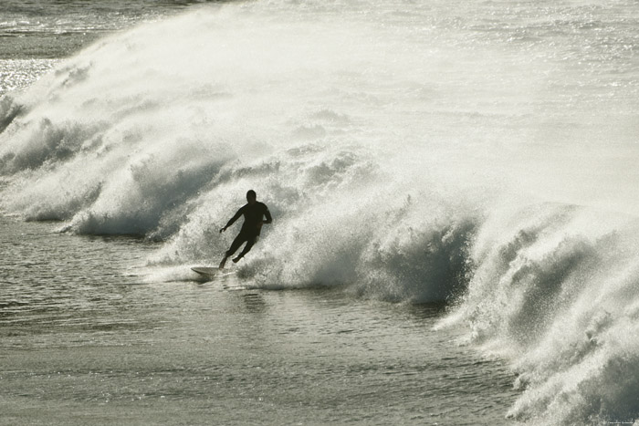 Surfers aan Strand van Almagica Almaciga / Tenerife (Spanje) 