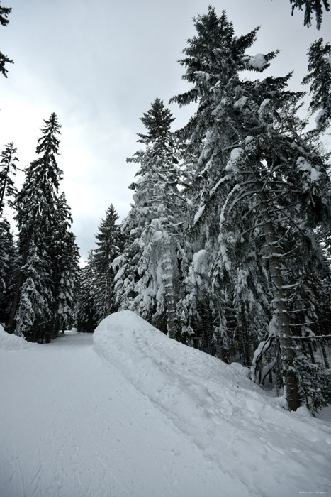 Fort enneige Borovets / Bulgarie 