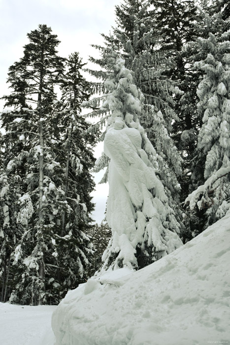 Fort enneige Borovets / Bulgarie 