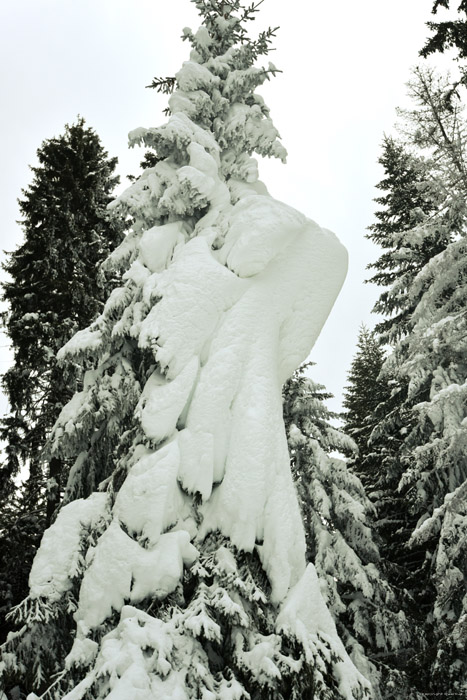 Fort enneige Borovets / Bulgarie 