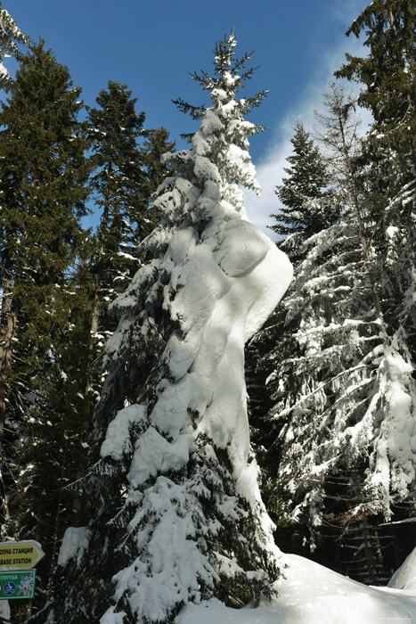 Fort enneige Borovets / Bulgarie 