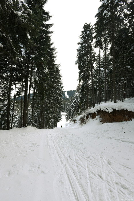 Fort enneige Borovets / Bulgarie 