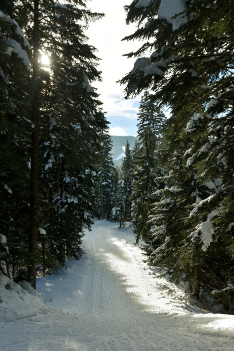 Fort enneige Borovets / Bulgarie 