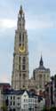 Onze-Lieve-Vrouw-Kathedraal ANTWERPEN 1 (centrum) in ANTWERPEN / BELGI: Gezien van op de kade