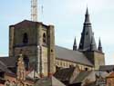 Saint-Vincentiuskerk SOIGNIES in ZINNIK / BELGI: Overzicht van op plein