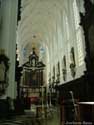 Sint-Pauluskerk ANTWERPEN 1 (centrum) in ANTWERPEN / BELGIË: 