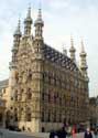 Stadhuis LEUVEN foto: Overzicht