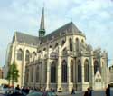 Sint-Pieterskerk LEUVEN / BELGI: Overzicht achteraan