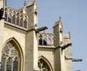 Saint-Peters' church LEUVEN picture: 