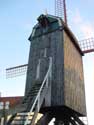 Moulin du village DE HAAN photo: 