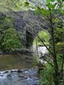 Romeinse brug VRESSE-SUR-SEMOIS foto: Overzicht tussen bomen