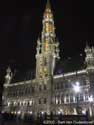 City hall BRUSSELS-CITY in BRUSSELS / BELGIUM: 