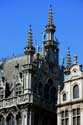 Breadhuis BRUSSELS-CITY in BRUSSELS / BELGIUM: 