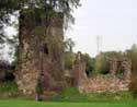 Kasteel en donjon van Walhain (te Walhain-Saint-Paul) WALHAIN / BELGIË: Toren en muurresten