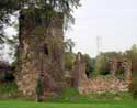 Kasteel en donjon van Walhain (te Walhain-Saint-Paul) WALHAIN / BELGI: Toren en muurresten