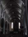 Saint-acob the Higher church (in Haasdonk) BEVEREN / BELGIUM: e