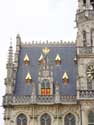 Stadhuis OUDENAARDE / BELGIË: De nok van het zadeldak draagt een stenen vorstkam. De vergulde dakkapellen geven een vrolijke toets.