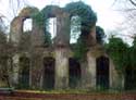 Castle ruine of Morlanwelz-Mariemont MORLANWELZ picture: 