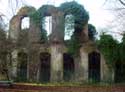 Castle ruine of Morlanwelz-Mariemont MORLANWELZ / BELGIUM: 