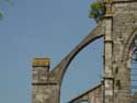Ruïne van de abdij van Aulne (te Gozee) THUIN / BELGIË: Detail van een luchtboog