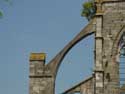 Ruins of Aulne's abbey (in Gozee) THUIN / BELGIUM: 