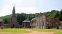 Ruins of Aulne's abbey (in Gozee) THUIN picture: 