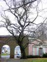 Ancienne Abbaye Saint-Martin - Maison de Ville TOURNAI photo: 