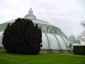 Royal Greenhouses LAKEN in BRUSSEL / BELGIUM: 