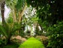 Royal Greenhouses LAKEN in BRUSSEL / BELGIUM: 