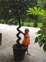 Royal Greenhouses LAKEN in BRUSSEL / BELGIUM: 