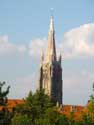 Our-Ladies' church BRUGES / BELGIUM: 