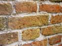 Abbey barn Ter Doest (in Lissewege) ZEEBRUGGE in BRUGGE / BELGIUM: 