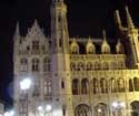 Provinciaal Hof BRUGGE foto: 