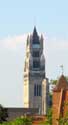 Cathdrale Saint-Salvator BRUGES photo: 