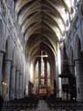 Sint-Pauluskathedraal LIEGE 1 in LUIK / BELGI: Middenschip binnen