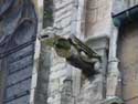 Sint-Waldetrudiskerk HERENTALS / BELGI: Detail waterspuwer