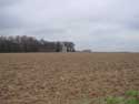 Berceau de jardin du chteau Hamal TONGEREN  TONGRES / BELGIQUE: 