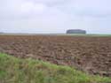 Landschap TONGEREN / BELGI:  