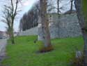 Townwall TONGEREN picture: e