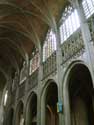 Saint Waudru church MONS / BELGIUM: 