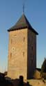 Kasteel in Ordingen SINT-TRUIDEN foto: De nu alleenstaande westelijke toren (die o.a. als duiventoren dienst deed).
