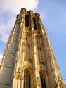 Cathdrale Saint-Rombout MECHELEN  MALINES / BELGIQUE: 