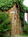 Ruines de l'église Saint-Jean le Baptist DIEST / BELGIQUE: 