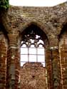 Ruines de l'glise Saint-Jean le Baptist DIEST / BELGIQUE: 