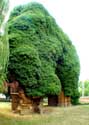 Ruines de l'glise Saint-Jean le Baptist DIEST / BELGIQUE: 