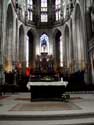 Basilique Saint-Martin HALLE  HAL / BELGIQUE: 