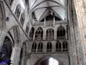 Saint-Martin's Basilica HALLE / BELGIUM: 