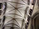 Saint-Martin's Basilica HALLE / BELGIUM: 