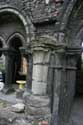 Ruins of the Saint Bavon's abbeye GHENT / BELGIUM: 