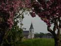 Sint-Gorgoniuskerk HOEGAARDEN / BELGI: 